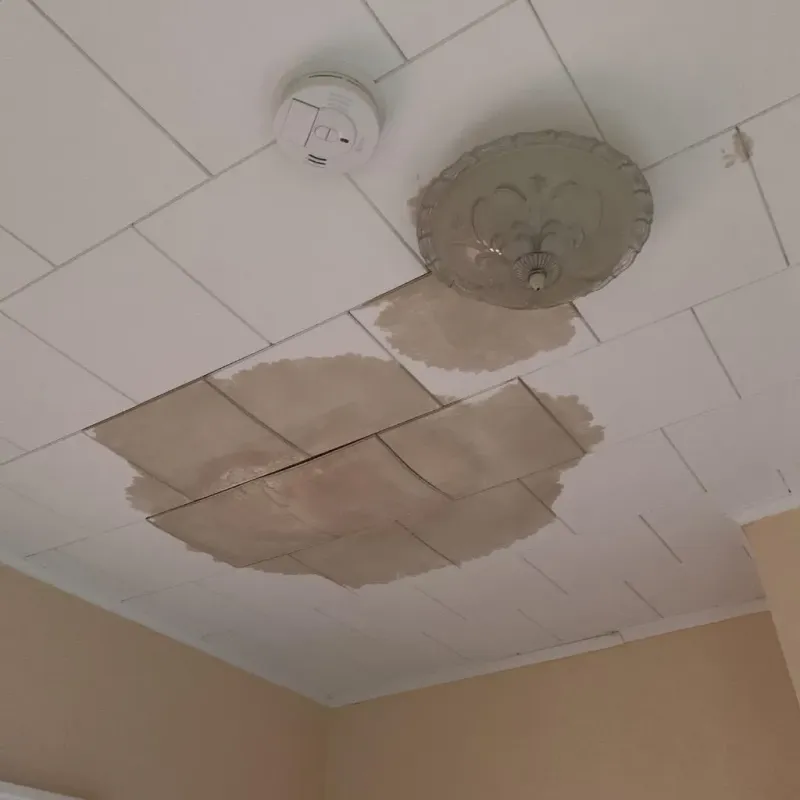 Ceiling Water Damage Repair in Kingston, NY