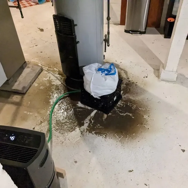 Sewage Backup Cleanup Service in Kingston, NY